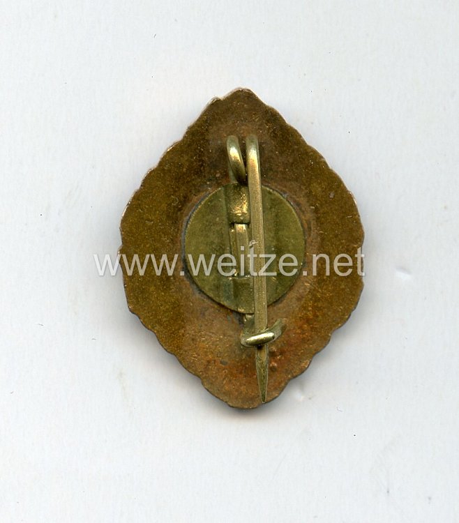 Deutscher Stenographenbund ( DStB ) - Ehrenabzeichen in Bronze Bild 2